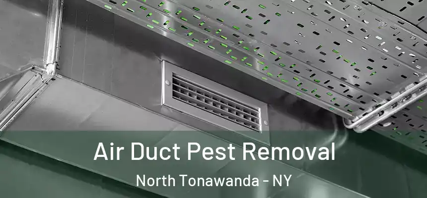 Air Duct Pest Removal North Tonawanda - NY