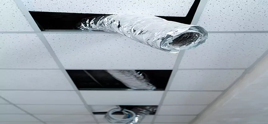 Affordable HVAC Sanitizing After Pest Removal in North Tonawanda