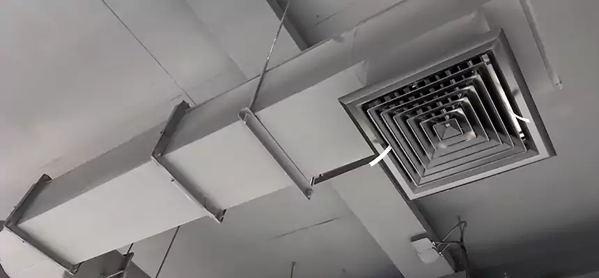 Our Pest Removal From Ducts Services in North Tonawanda, NY