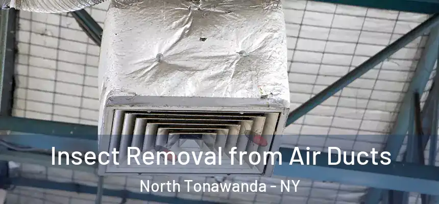 Insect Removal from Air Ducts North Tonawanda - NY