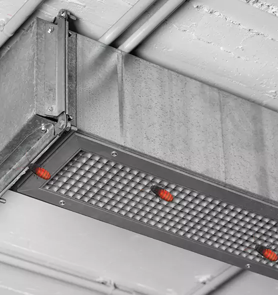About Air Duct Cockroach Removal in North Tonawanda, NY