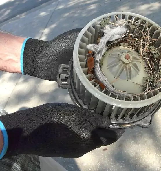 About Air Duct Mice Removal in North Tonawanda, NY