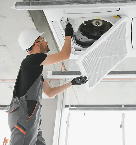 About Air Duct Rodent Removal in North Tonawanda, NY