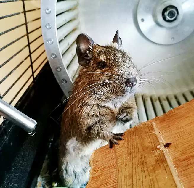 Why Homeowners & Businesses Trust Us North Tonawanda, NY